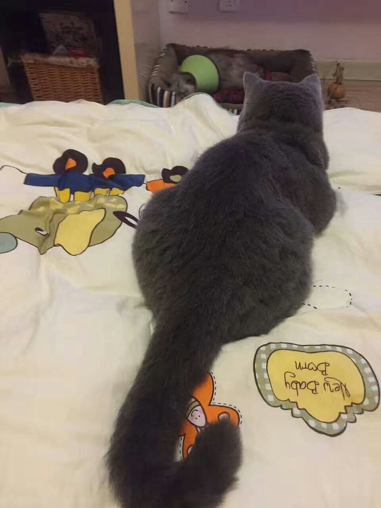 ��һ������������ж�ô�Ĳ�ϲ�����������