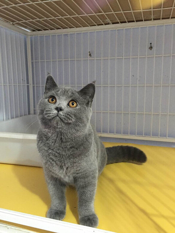 ��������è�����ѳ���лл���˵���Ů����һ