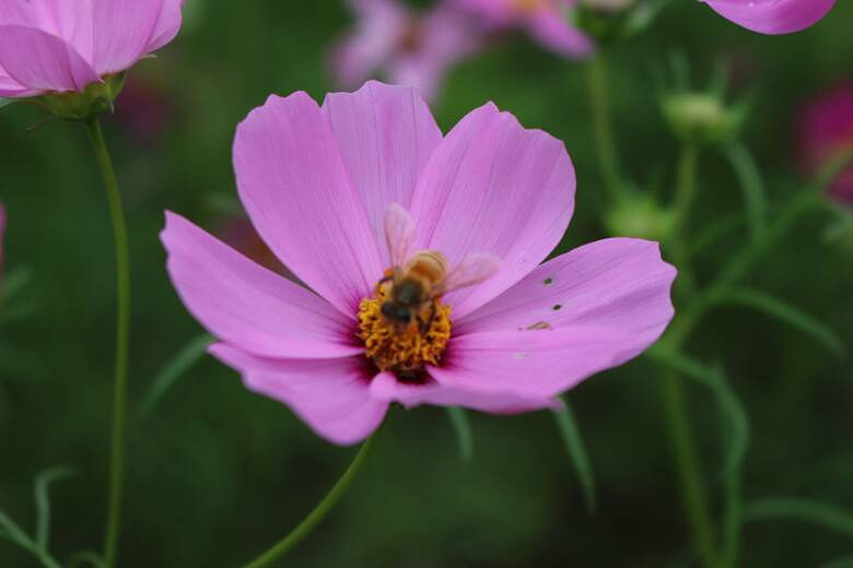 #����������#