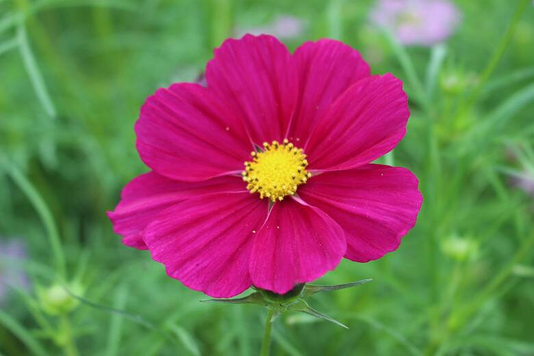 #����������#