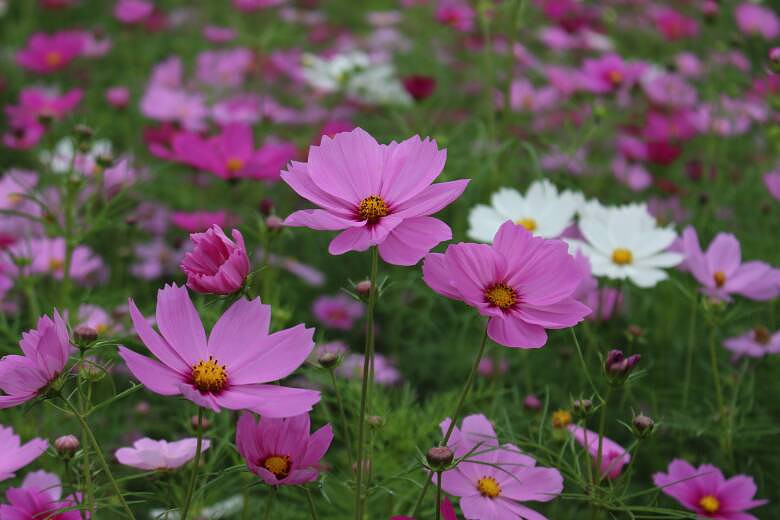 #����������#