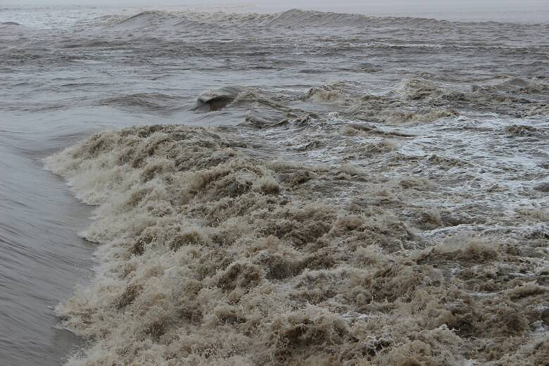 #����������#