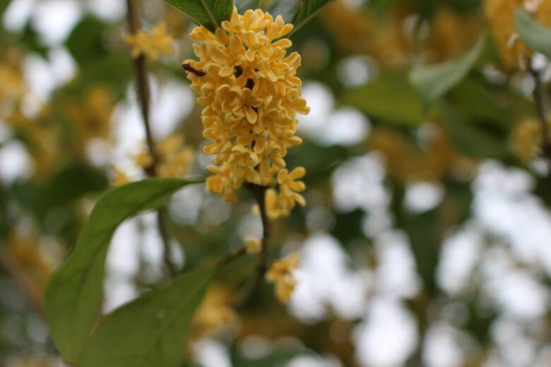 #����������#