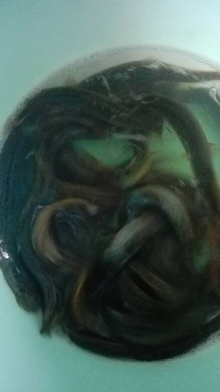 ץ����������