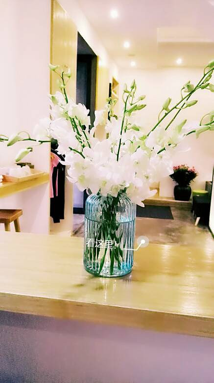 ����һ�ģ������ա�