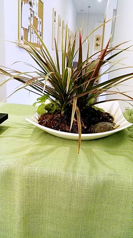 ����һ�ģ������ա�