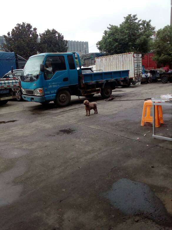 ���˵�С��