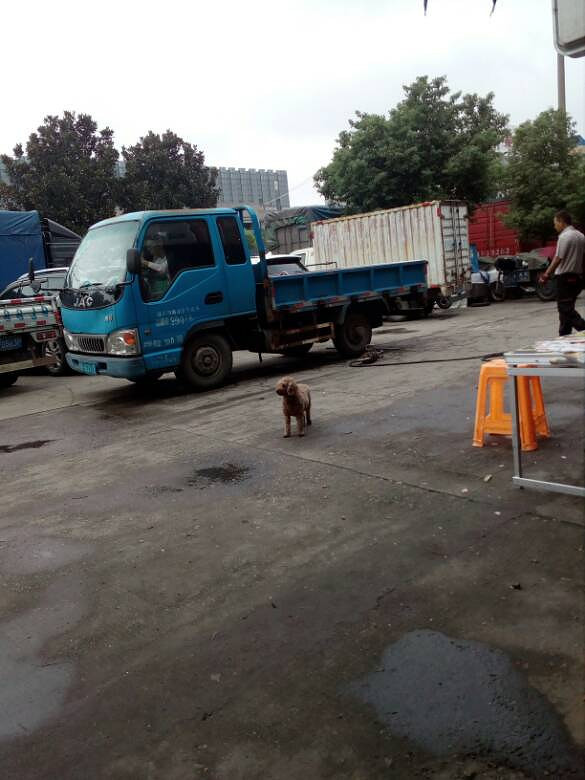 ���˵�С��