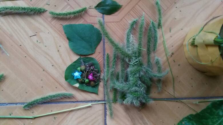 �ù�β�Ͳ�����Сè