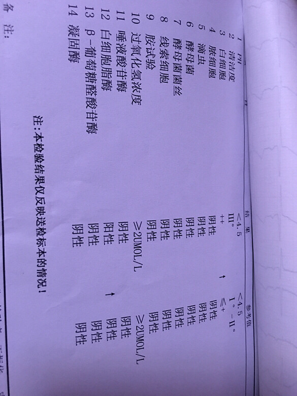 ���� ���� ������ �����˨