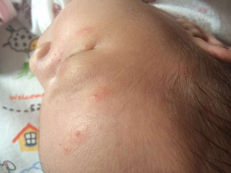 ����11�챦������ʪ����