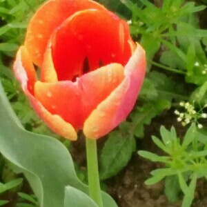 �������õ����ﶼֻ��ͣ����һ˲��