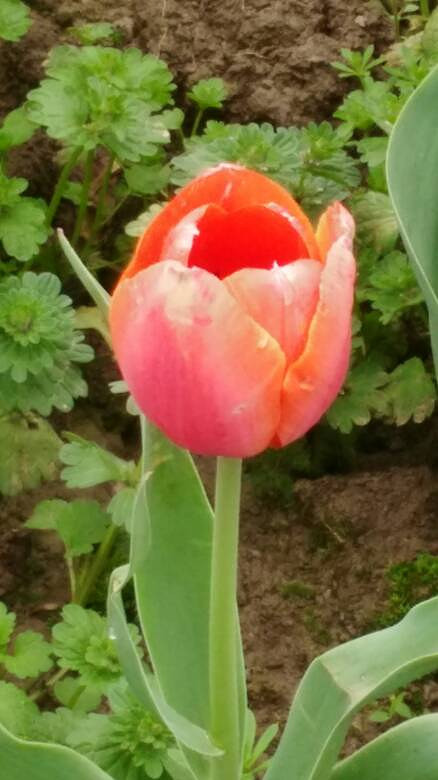 �������õ����ﶼֻ��ͣ����һ˲��