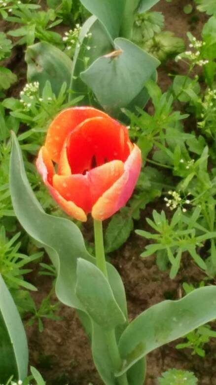 �������õ����ﶼֻ��ͣ����һ˲��