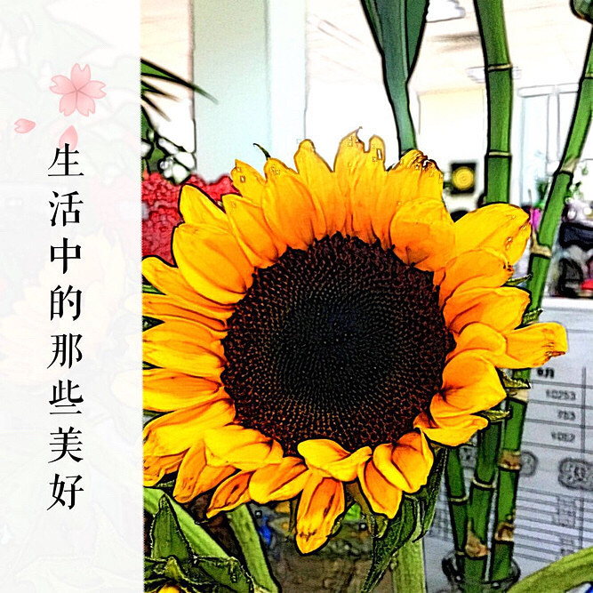 С�ɰ�˵�����õ�����ͬ�����