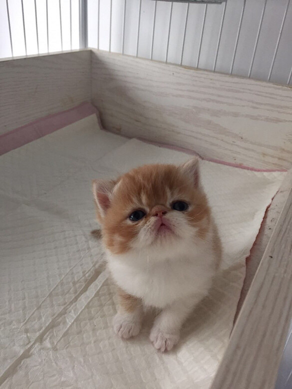 �ӷƵܵܣ�����󣬿����к�����С��ǻ