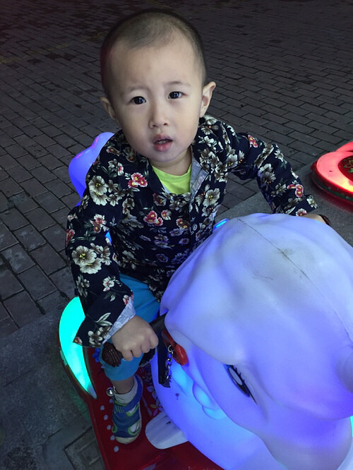 ��Ҳ������