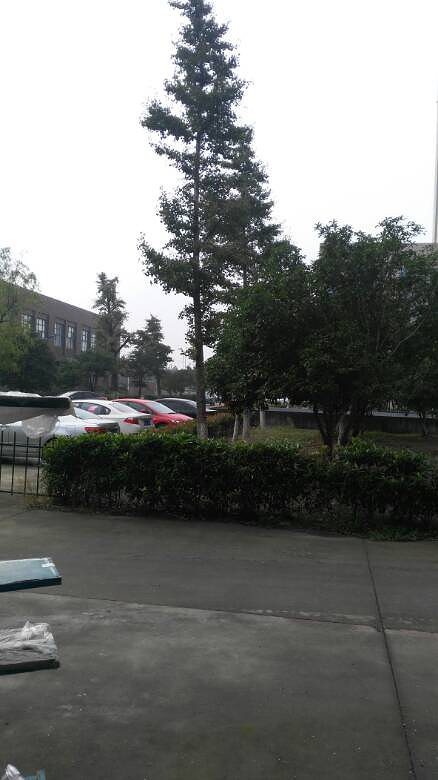 ̫��������