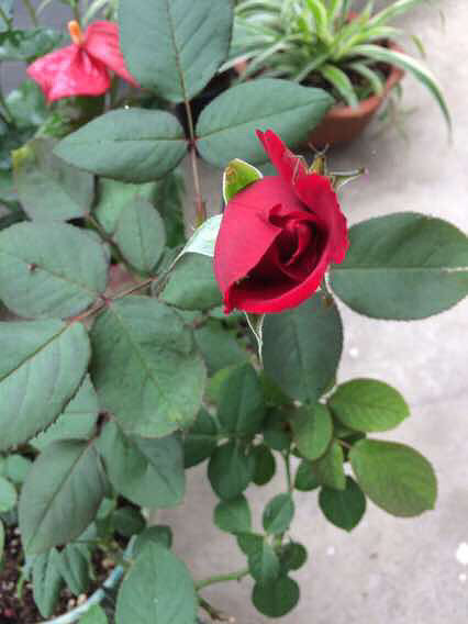 һ���һ�������������