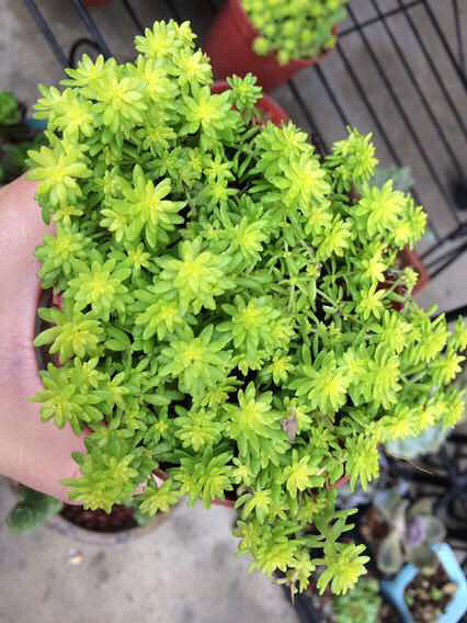 һ���һ�������������