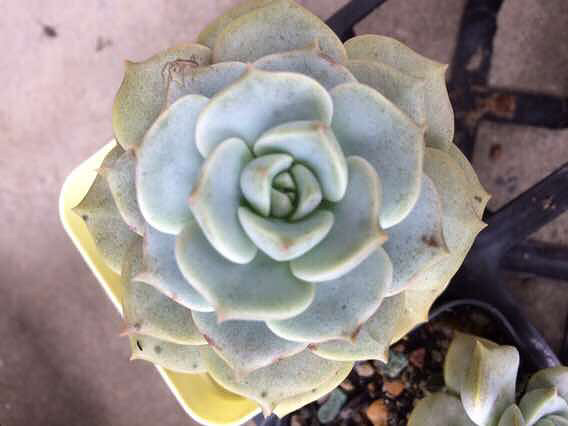 һ���һ�������������