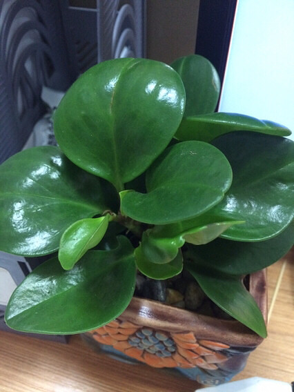 �ݱ��������ⶼ���ᰮ