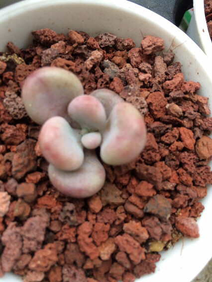 �ݱ��������ⶼ���ᰮ