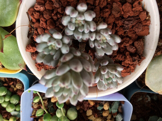 �ݱ��������ⶼ���ᰮ