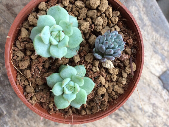 �ݱ��������ⶼ���ᰮ