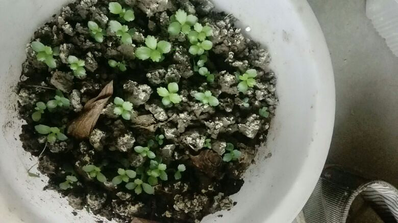 �������������