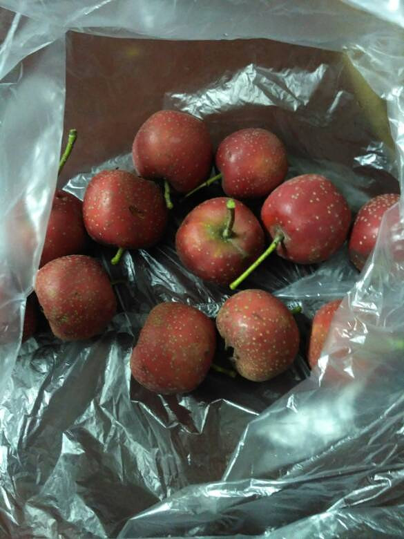 ��С�Ե����ɽ�Ƭ�����ڿ������ʵ���