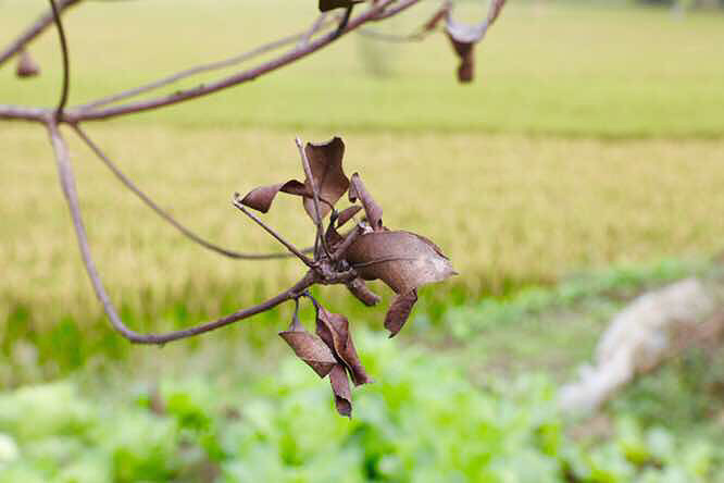 �����ȫ����·��