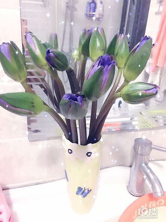 ����ʲô��