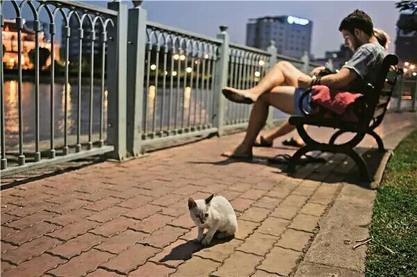 Խ�Ϻ�־����