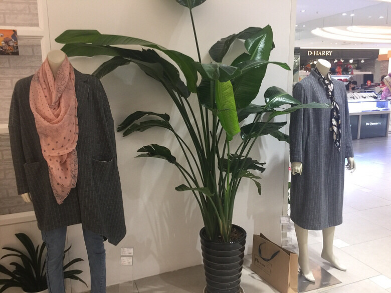 ��Ҫ�����ж�����