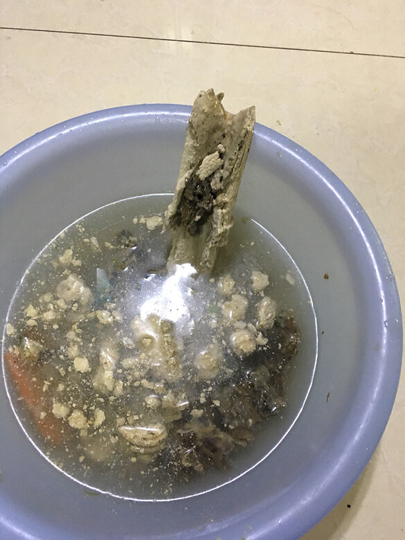 ����ˮ���۹�