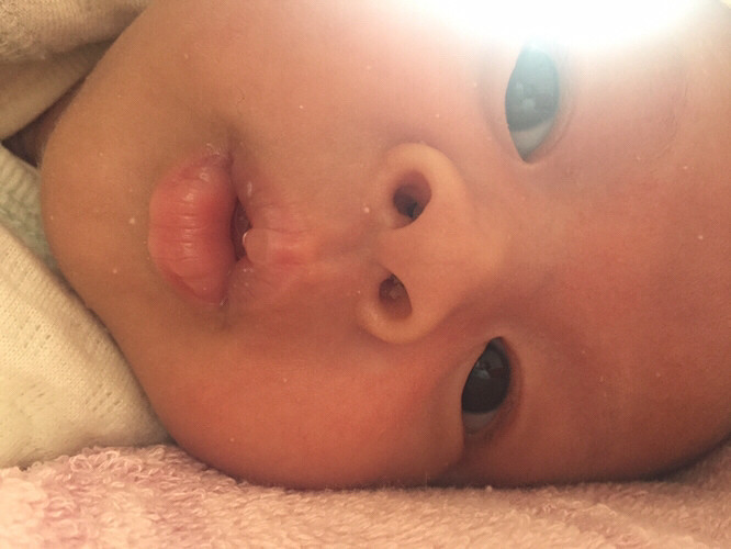 ������ı���