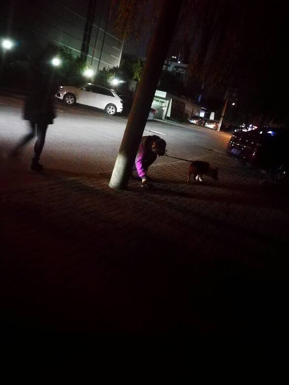 ������Ϊ��