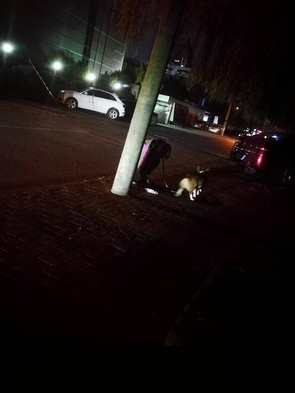 ������Ϊ��