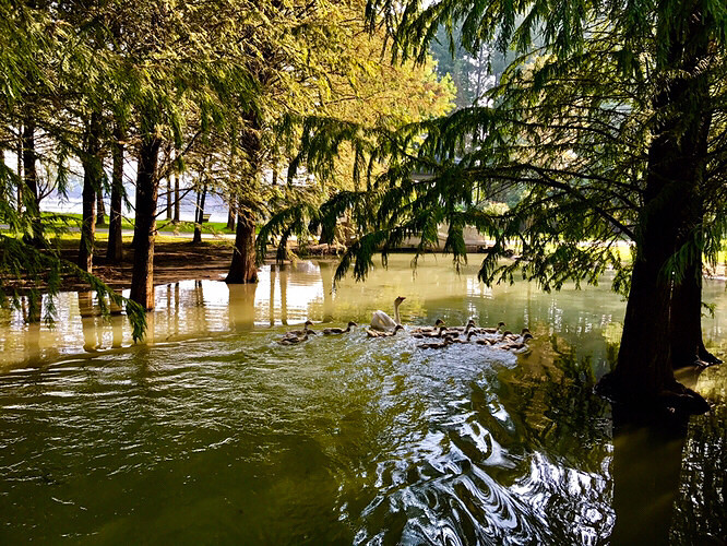 ��ͷ����ڴˣ�