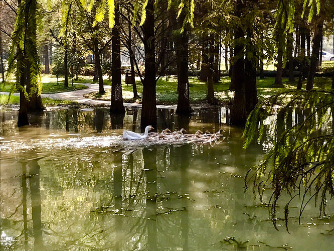 ��ͷ����ڴˣ�