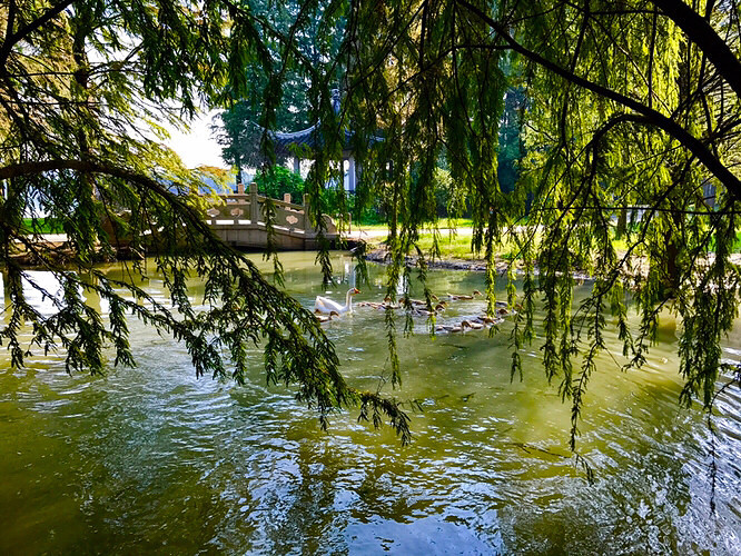 ��ͷ����ڴˣ�