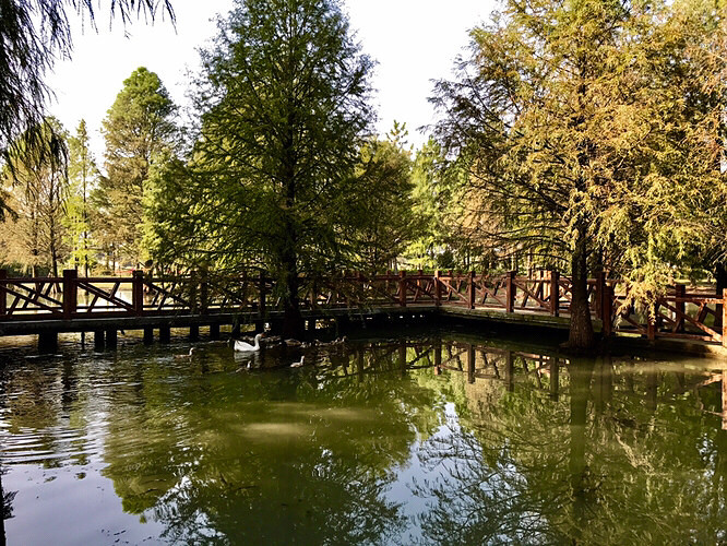 ��ͷ����ڴˣ�