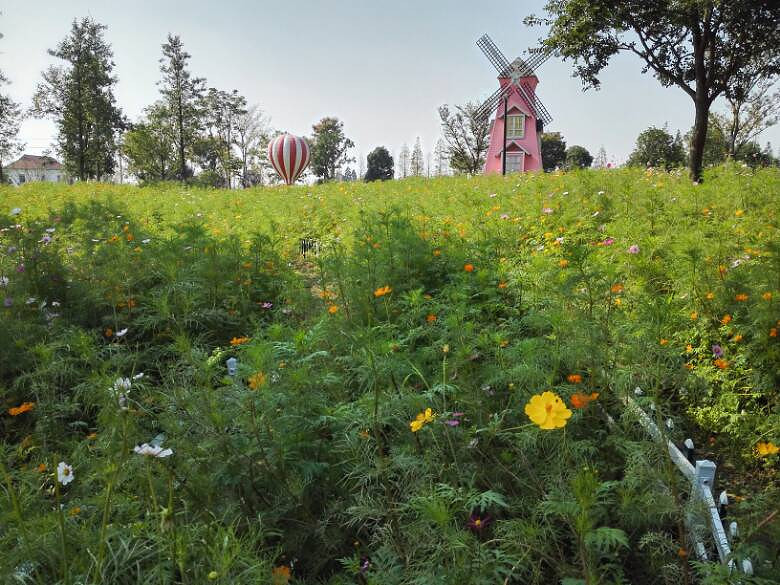 �߹�·����Ҫ������ô���ķ羰