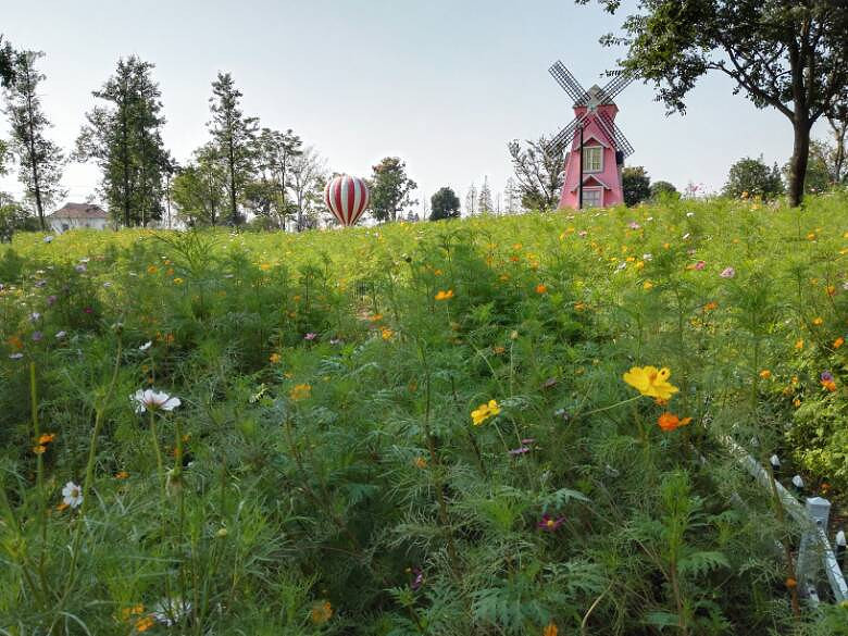 �߹�·����Ҫ������ô���ķ羰