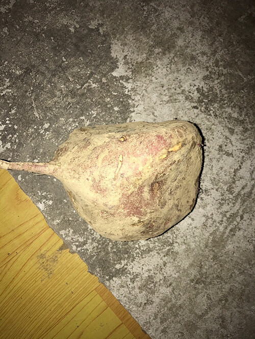 ��û�м�����ô��ķ���