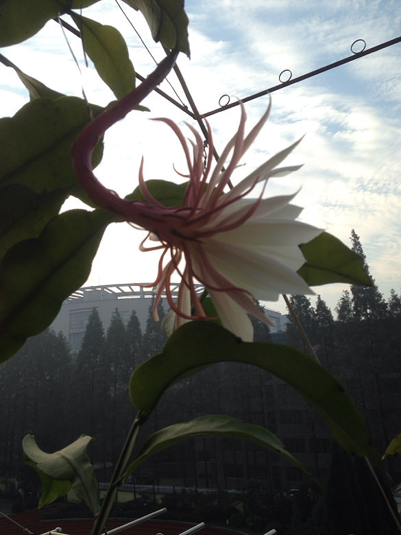 ������ӭ��̫������꼻�