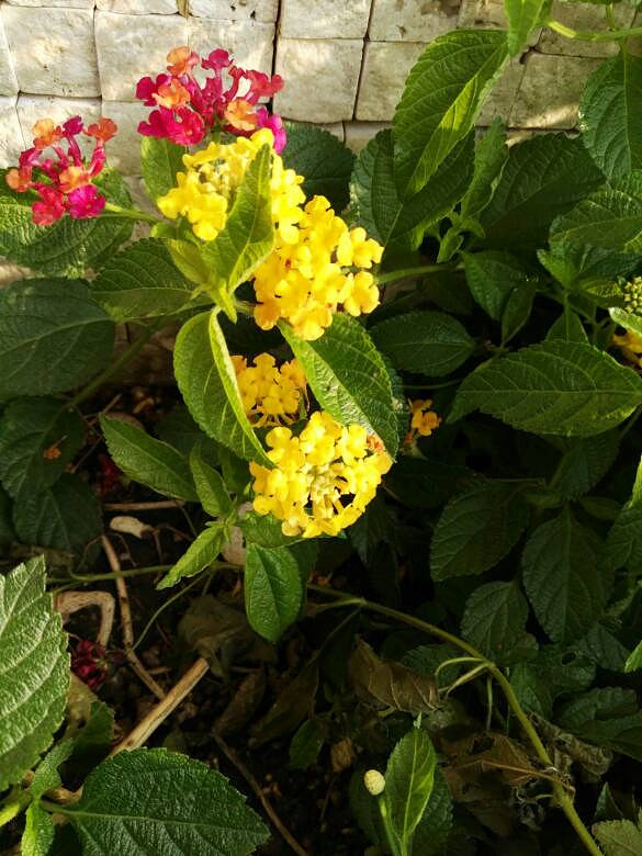 �ٽ�����