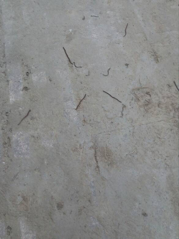 ��������������·������ɱ��