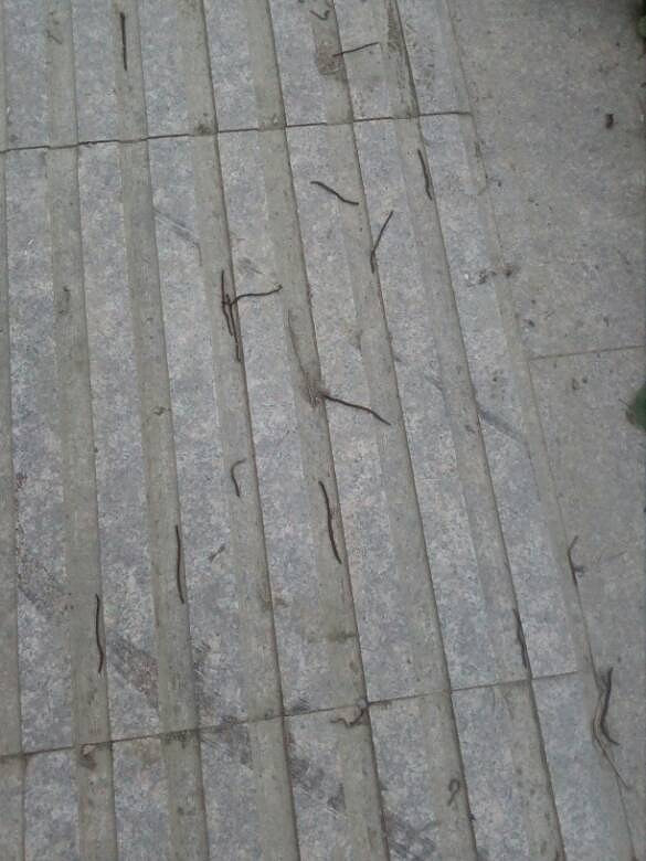 ��������������·������ɱ��